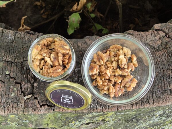 Kashmiri One-Tree Walnuts